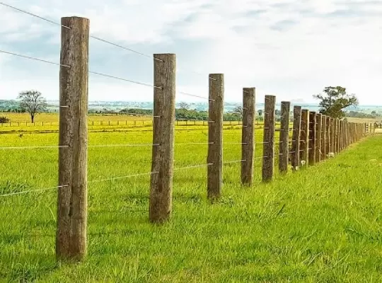 Saiba qual o modelo de cerca de eucalipto ideal para cada área de sua propriedade