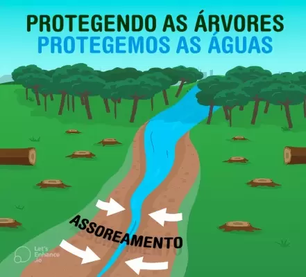 Madeira Tratada Aliada da Água 