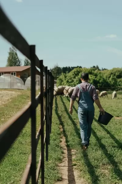 Força , Trabalho e Madeira Tratada : Uma homenagem a quem move o campo