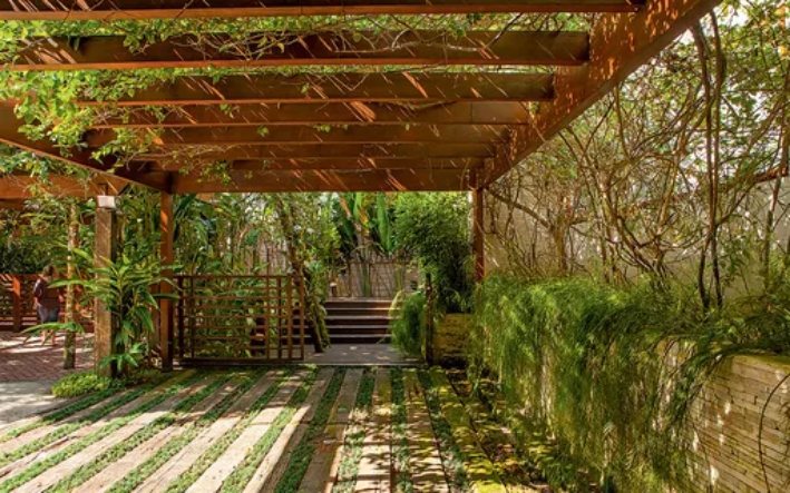 Pergolado em madeira com cobertura vegetal em um belo jardim.